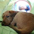 DSC09314