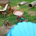 DSC07581